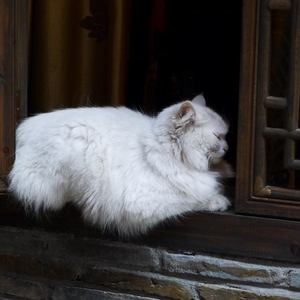 动漫无码番肉18❤魅魔链接
